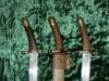 szab 2.jpg